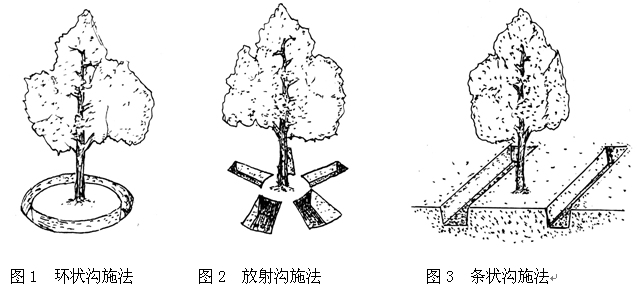 沟施法:一般适用于树木,其他作物也可以采用,比如玉米