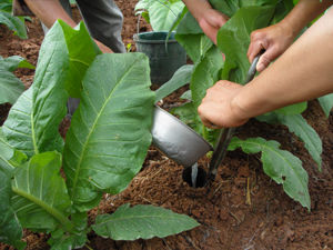 哇,施肥竟有这么多种方法 - 河北五行圆农业科技集团